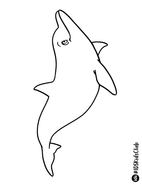 ColoringPageDolphin-thumb