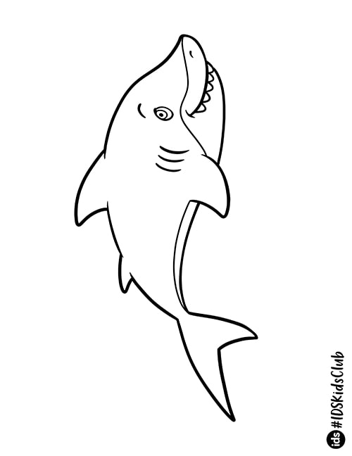 ColoringPageShark-thumb