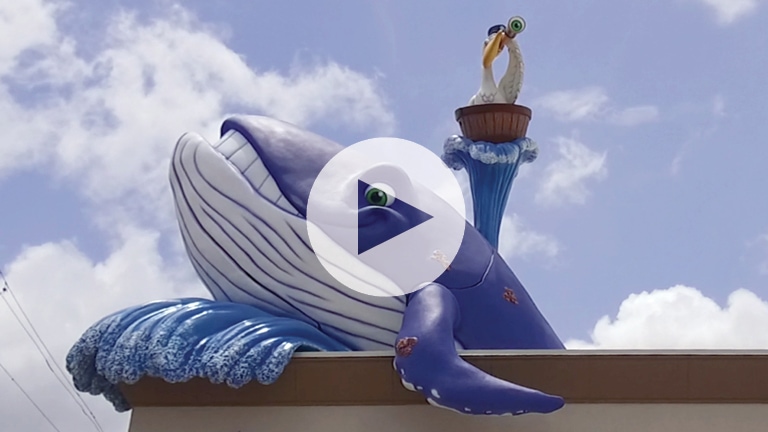 whalepreview