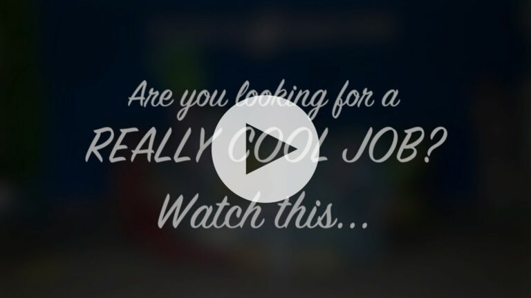 cool-job