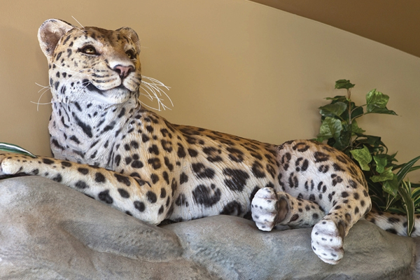 A lifelike, spotted jaguar statue is posed lying on a fake rock ledge indoors, with some green leafy plants in the background against a beige wall.